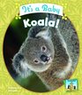 It's a Baby Koala