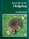 Secret Life of the Hedgehog