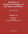 An Atlas Of Surgical Techniques Of The Hand And Wrist Volume II Slide Collection Soft Tissue Tendons Congenital Malformations