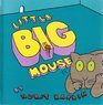 Little Big Mouse