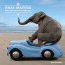 Gray Matter: Why It's Good to Be Old!