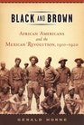 Black And Brown African Americans And The Mexican Revolution 19101920
