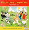 Where Are You Little Lamb