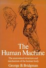 The Human Machine The Anatomical Structure and Mechanism of the Human Body