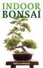 Indoor Bonsai