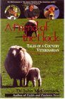 A Friend of the Flock Tales of a Country Veterinarian