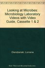 Looking at Microbes Microbiology Laboratory Videos with Video Guide