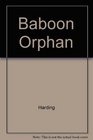 Baboon Orphan 2