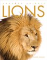 Amazing Animals Lions