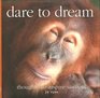 Dare to Dream Thoughts to Inspire Success
