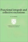 Functional Integrals and Collective Excitations