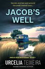Jacob's Well A twisty Christian mystery novel that will leave your heart in your throat