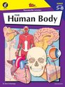 The Human Body