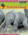 The Life Cycle of Mammals From Egg to Adult