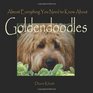 Almost Everything You Need to Know About Goldendoodles