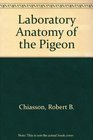 Lab Anatomy of The Pigeon