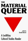 The Material Queer A Lesbigay Cultural Studies Reader
