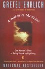 A Match to the Heart One Woman's Story of Being Struck By Lightning