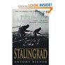 Stalingrad The Fateful Siege  19421943