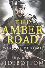 The Amber Road Warrior of Rome Book 6