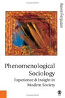Phenomenological Sociology Experience and Insight in Modern Society