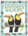 Rainforest Wildlife