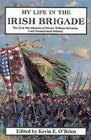 My Life in the Irish Brigade: The Civil War Memoirs of Private William McCarter, 116th Pennsylvania Infantry