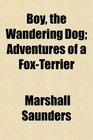 Boy the Wandering Dog Adventures of a FoxTerrier