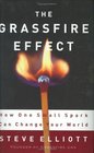 The Grassfire Effect How One Small Spark Can Change Your World