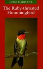 The RubyThroated Hummingbird