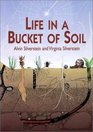 Life in a Bucket of Soil