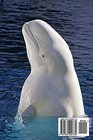 The Beluga White Whale Journal 150 page lined notebook/diary