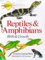 Reptiles  Amphibians Birth  Growth