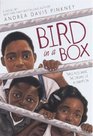 Bird In A Box