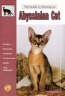 Guide to Owning an Abyssinian Cat