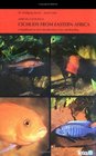 African Cichlids II Cichlids from Eastern Africa  A Handbook for Their Identification Care and Breeding