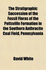 The Stratigraphic Succession of the Fossil Floras of the Pottsville Formation in the Southern Anthracite Coal Field Pennsylvania