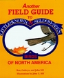 Another Field Guide to Little Known and Seldom Seen Birds of North America
