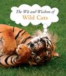 The Wit and Wisdom of Wild Cats