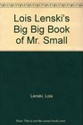 Big Book of Mr Small