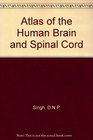Atlas of the Human Brain  Spinal Cord