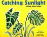 Catching Sunlight A Book About Leaves