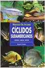 Ciclidos Sudamericanos/ South American Cichlids