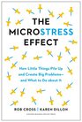 The Microstress Effect How Little Things Pile Up and Create Big Problemsand What to Do about It