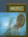 Ammonoids