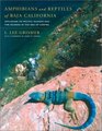 Amphibians and Reptiles of Baja California Including Its Pacific Islands and the Islands in the Sea of Corts