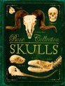 Bone Collection Skulls