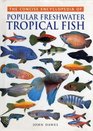 Tropical Fish