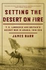 Setting the Desert on Fire T E Lawrence and Britain's Secret War in Arabia 19161918