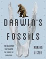 Darwin's Fossils The Collection That Shaped the Theory of Evolution